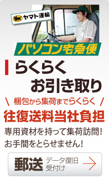 TeraStation LinkStation�@�����@�������